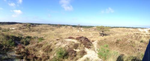 Northseachalets Ameland - image 4
