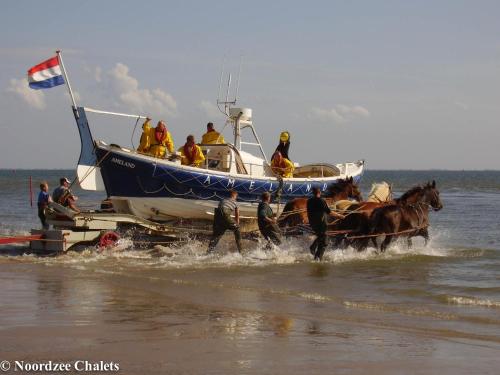 Northseachalets Ameland - image 6