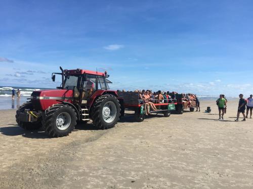 Northseachalets Ameland - image 11