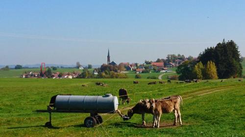 Fewo-Kapellenweg-Kimratshofen