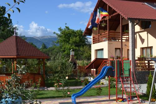 Arnota in Costești