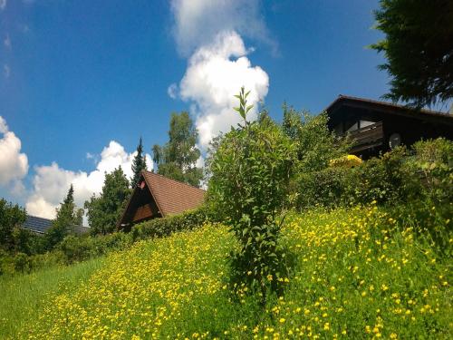 Ferienwohnung Vogel - inkl. Chiemgau-Karte in Siegsdorf, Deutschland