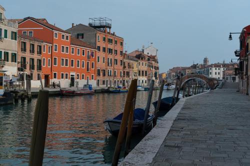 Carnival Palace - Venice Collection - image 3