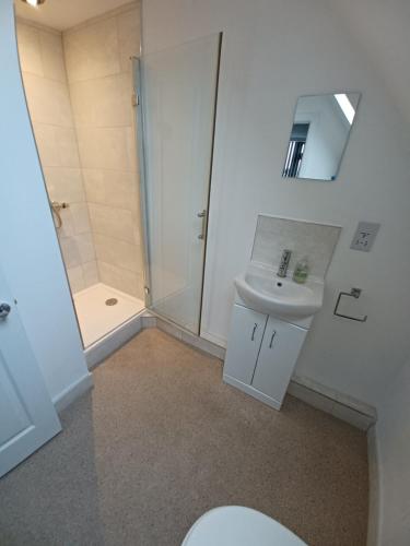 Superior King or Twin Room image 4