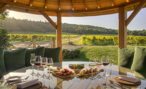 Denbies Vineyard Hotel - image 4