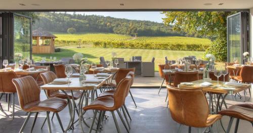 Denbies Vineyard Hotel - image 5