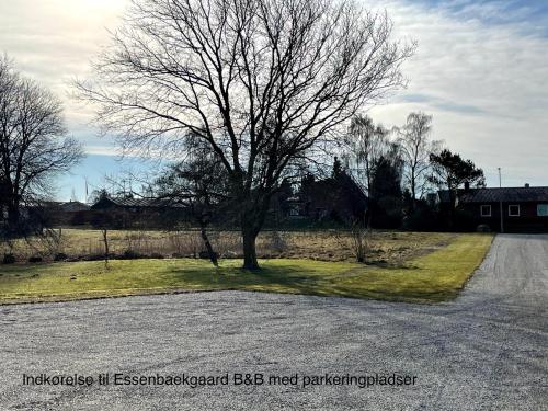 Essenbaekgaard B&B