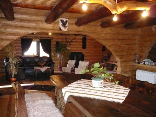 Cabana Vultur