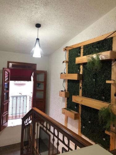 Hotel Orquídea (Hotel Orquidea) in Centro