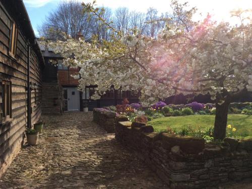 The Old Barn - image 3
