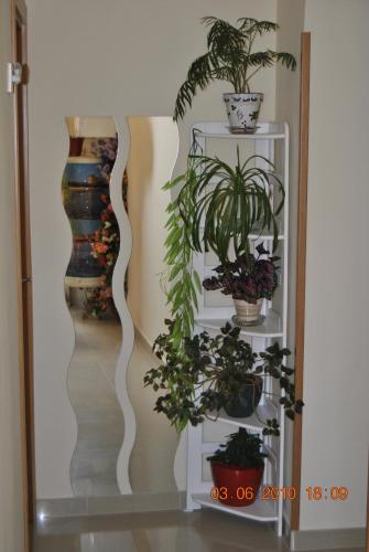 Hostal Huespedes Toledo - image 11