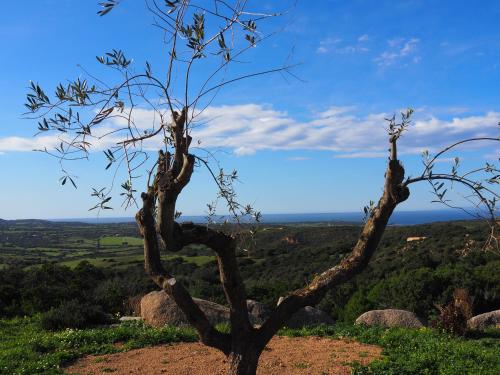  Stazzu Giasti Agriturismo in Aglientu