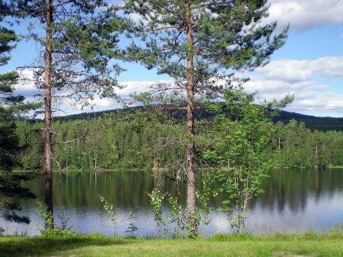 Holiday home in Torsby - image 8