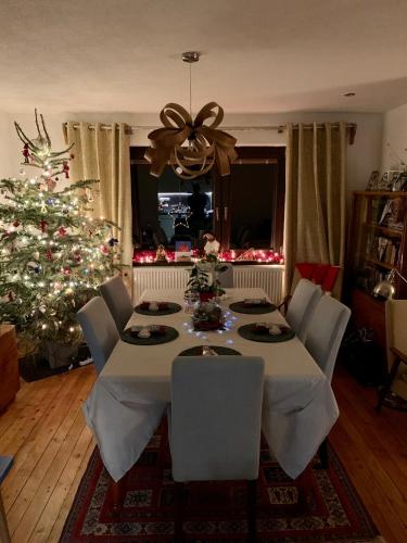 บริการและสิ่งอำนวยความสะดวก, Dom na Bravacove in สตารีสโมโคแวค