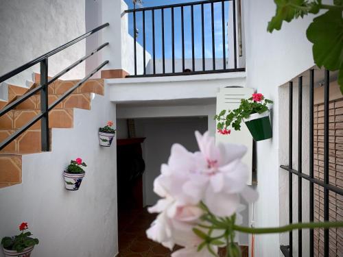 Casa Rural Sierra Tórtola 1 (Casa Rural Sierra Tortola 1) in Hinojales