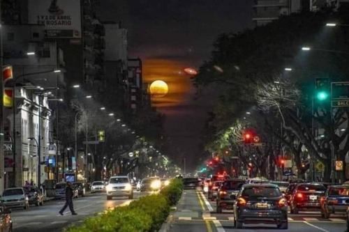 One-Bedroom Apartment room in Cálido y hermoso Dpto. en excelente zona de Rosario