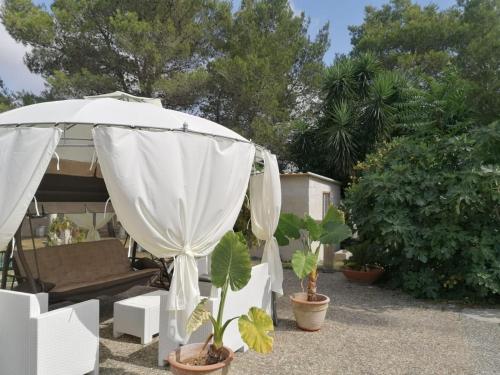 B&B Scipponate - Ruffano