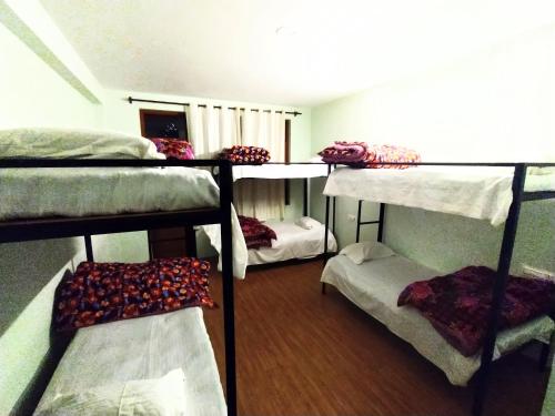 FARM Hostel and Camps