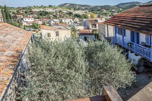 外部景觀, 圖克納茲托弗羅卡酒店 (To Konatzi tou Flokka) in 阿吉奧斯泰奧多羅斯