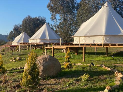 Lago Valle Wine Glamping