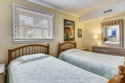 North Shore - image 3