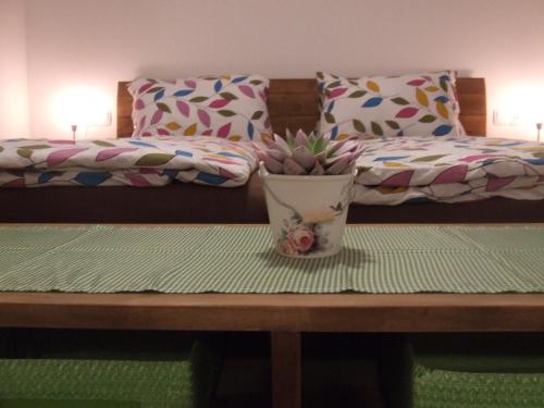 Appartement Veronika - image 5