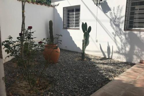 Casa Cafayate