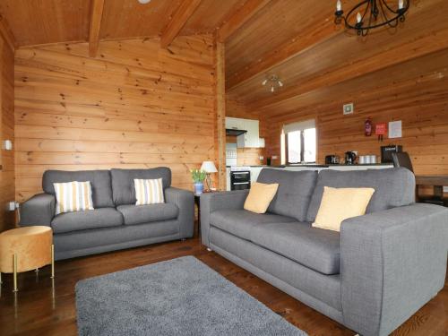 Holly Lodge Bodmin - image 4