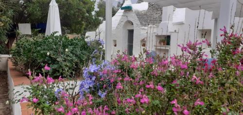 Estate Nel Trullo - image 6