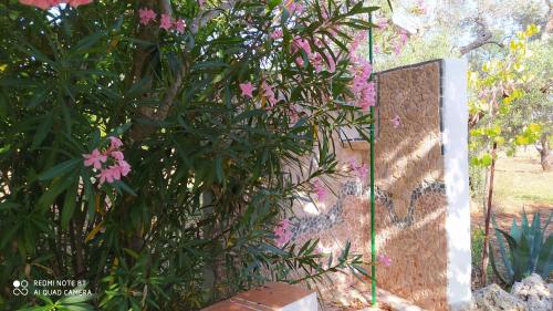 Estate Nel Trullo - image 7