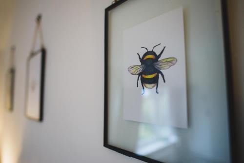 Hectors house - Great Yarmouth