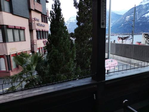 razgled, San Marco Vip in Uri