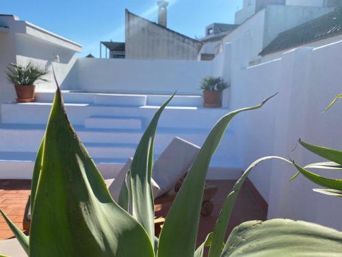 Alojamiento Rural con Encanto Armenia