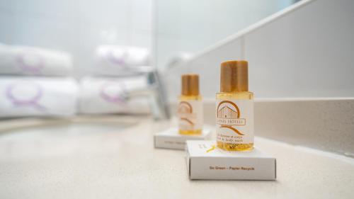 Hotel Ours Blanc - Centre - image 11