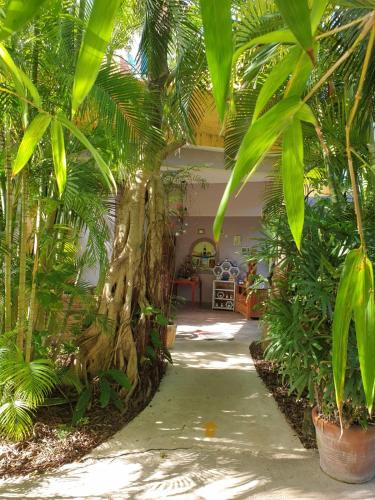 Casa Don Diego - image 5