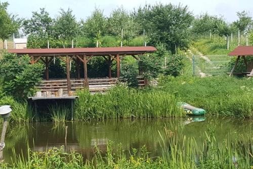 Casa cu fantana - Borleşti