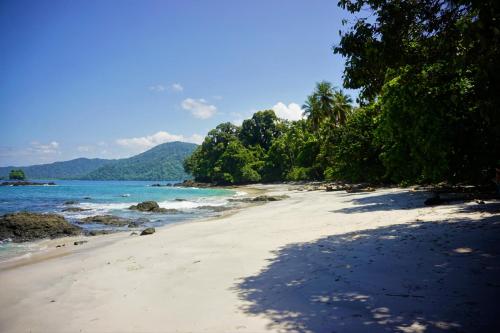 La tarima del colibri Ecolodge