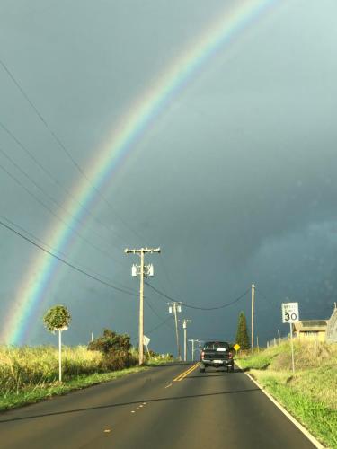Banyan Tree B&B Retreat Banyan Tree B&B Retreat