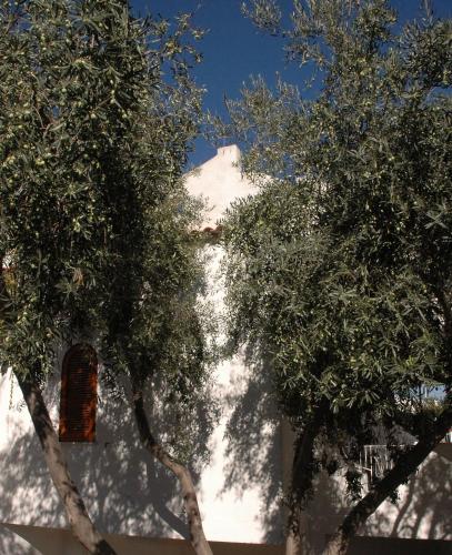 Residence Villa Tina - image 14