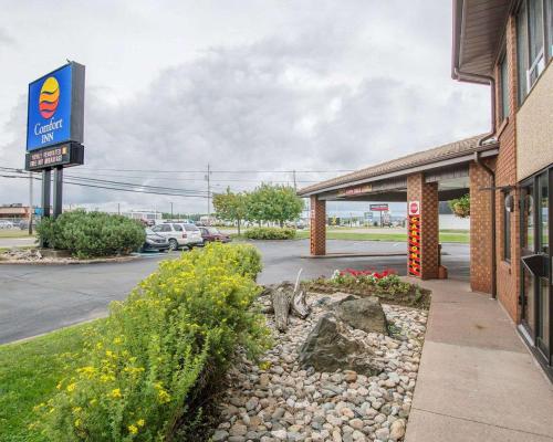 Comfort Inn Amherst - Hotel