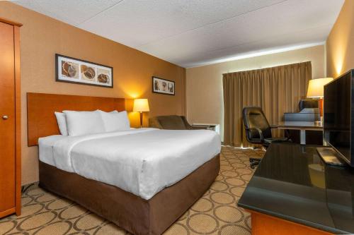 Comfort Inn Amherst