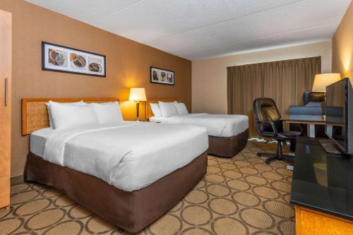 Comfort Inn Amherst