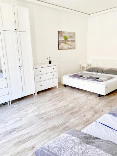 LUXURY apartment in the centre with a place for barbecue party, Budapest