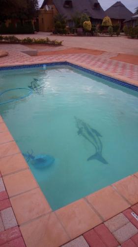 Swimming pool, Thulamela Guest House Mahalapye in Mahalapye