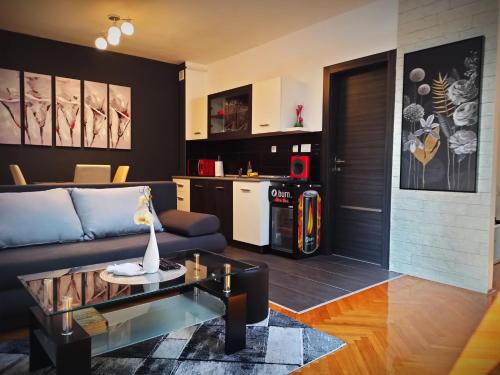 Apartman Aurelius - private parking - image 5