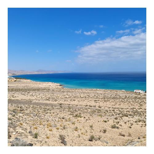 Your Ocean Window Your Ocean Window