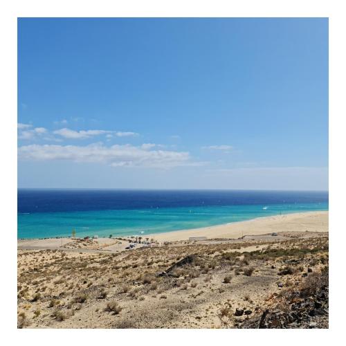 Your Ocean Window Your Ocean Window