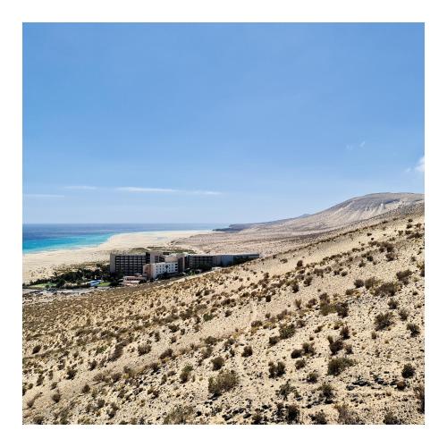 Your Ocean Window Your Ocean Window