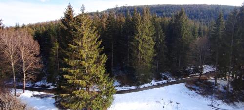 Ferienwohnung Tannenballett im Schwarzwald