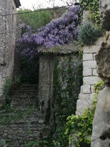 Gite des Gorges de l'Ardèche